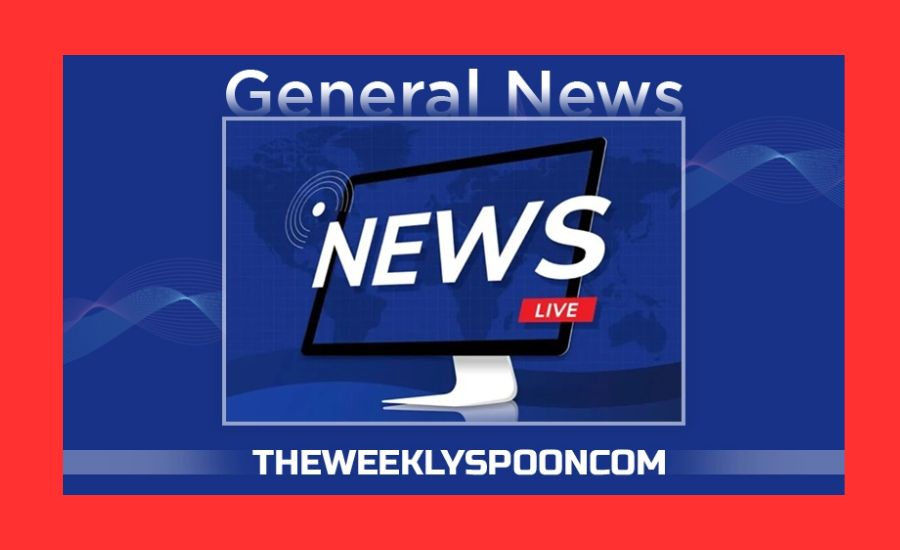 theweeklyspooncom general news