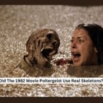 the 1982 movie poltergeist used real skeletons as - tymoff